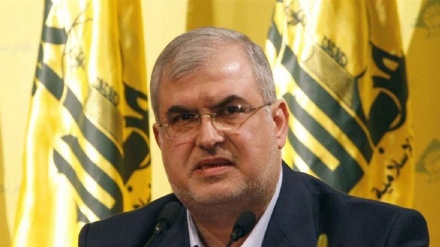 Jinavbirina Hizbullahê wehm u xeyaleke mezin e