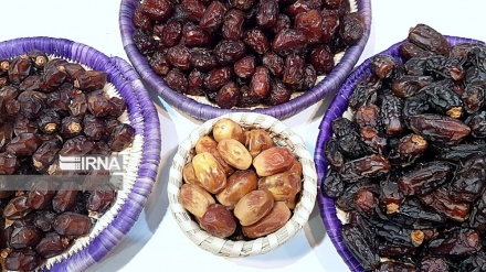 ایران دنیا کا سب سے بڑا کھجور برآمد کرنے والا ملک
