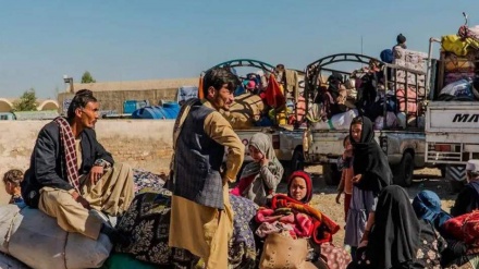 افزایش چشمگیر ورود مهاجران از کشورهای همسایه؛ ثبت بیش از ۹ هزار نفر در ۲۴ ساعت گذشته