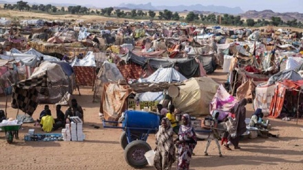  وشداریی ڕێکخراوە نێونەتەوەییەکان سەبارەت بە کوشتار و قەیرانی بێ وێنە لە فاشر