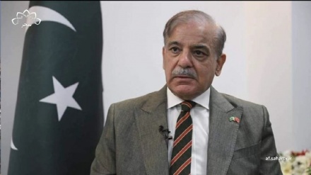 آمادگی پاکستان برای همکاری در صورت اقدام کابل علیه تی تی پی