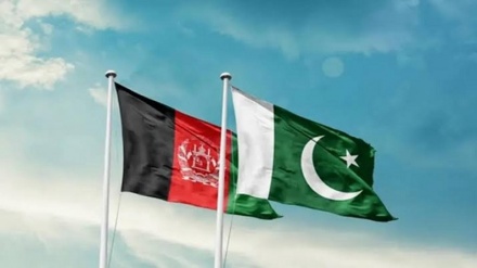 پاکستان افغانستان مذاکرات میں تعطل: سفارتی ذرائع، تعطل نہیں: پاکستانی وزارتِ خارجہ 