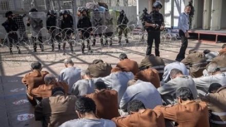 شەرمەزارکردنی یاساکەی زایۆنییەکان سەبارەت بە لەسێدارەدانی دیلی فەلەستینی