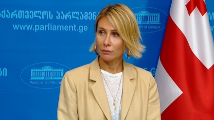 Gürcüstan Avropa Parlamentinin qətnaməsini tənqid edib