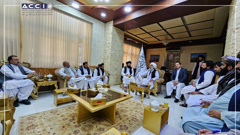 دیدار تاجران هرات با والی؛ تأکید بر گسترش تجارت با ترکمنستان