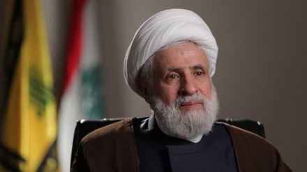 اشغالګرو څخه د امریکا ملاتړ په اړه د حزب الله څرګندونې