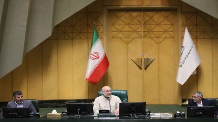 پاکستان ایران کے لئے بہت زیادہ اہمیت کا حامل، دونوں ملکوں کے درمیان گہرے رشتے: ایرانی پارلیمانی اسپیکر