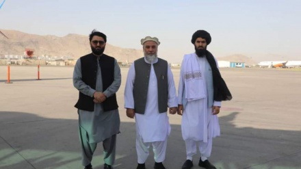 دیدار وزیر صنعت و تجارت با وزیر خارجه هند