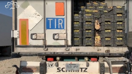 ضربه اقتصادی انسداد گذرگاه‎ها بین افغانستان و پاکستان