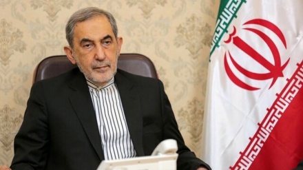  ٹرمپ نے غزہ پر خاموشی اختیار کی تاکہ مسلم ممالک سے فائدہ اٹھا سکے: رہبر انقلاب کے مشیر ولایتی