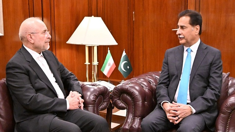 ایران اور پاکستان اقتصادی، سیاسی اور پارلیمانی سطح پر ایک دوسرے کے ساتھ تعاون کر رہے ہیں: ایرانی اسپیکر ڈاکٹر قالی باف