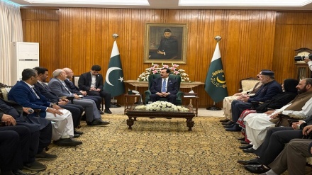 پاکستانی سینیٹ کے چیئرمین اور قائم مقام صدر یوسف رضا گیلانی کا ایران پاکستان تعاون کے فروغ پر زور