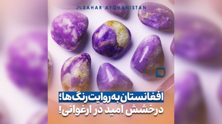 افغانستان به روایت رنگ‌ها | ارغوانی یعنی امید در دل غم