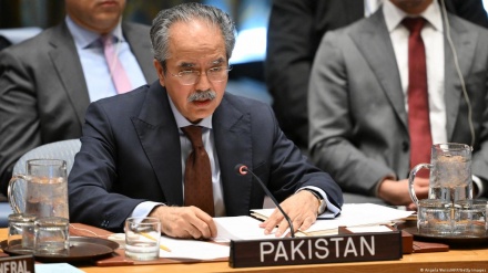  افغانستان میں غیر قانونی اسلحہ دہشتگردوں کے ہاتھوں میں، خطے کے لیے خطرہ: پاکستان