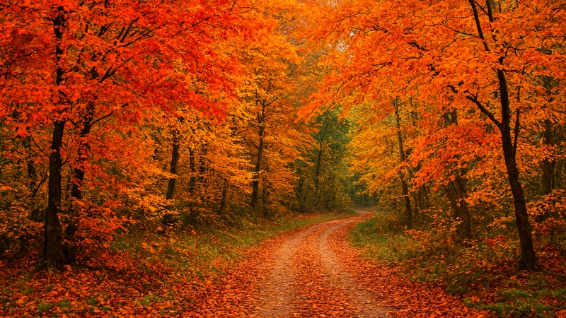 گیلان کی خزاں کی قدرتی خوبصورتی