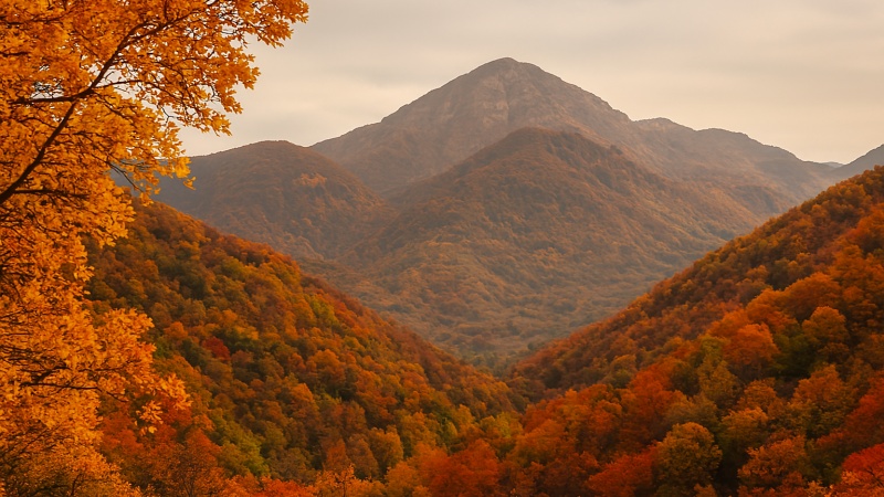 قرہ‌داغ: دلکش خزاں کا منظر