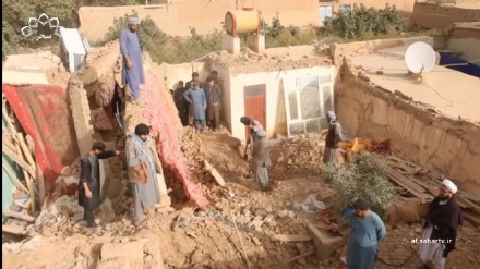 وقوع زمین لرزه قوی در ولایت های شمالی افغانستان