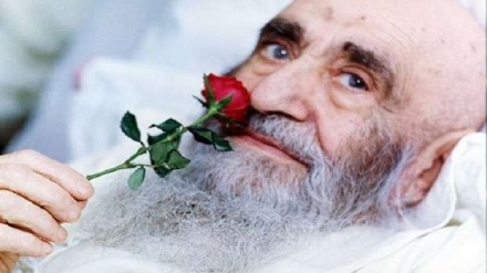 ڈاکومینٹری- شہاب دانش