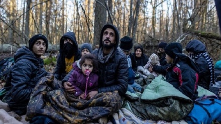 6 hezar û 500 Ciwanên Herêma Kurdistanê îsal koçber bûne