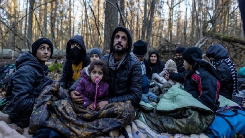 6500 گەنجی هەرێمی کوردستان ئەمساڵ کۆچیان کردووە