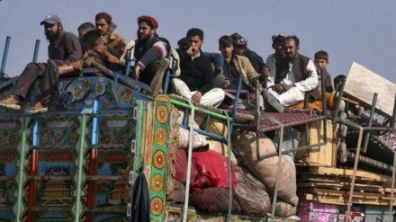 بازگشت بیش از دو هزار مهاجر به کشور 