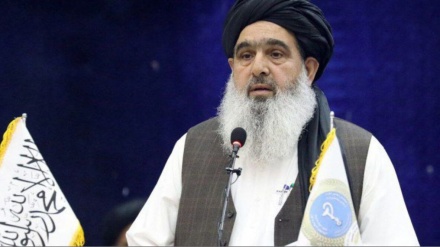 په افغان بازار کې د پاکستاني درملو ونډه کمه شوې ده