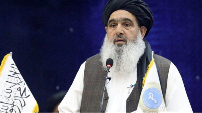 په افغان بازار کې د پاکستاني درملو ونډه کمه شوې ده