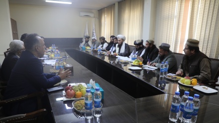 گسترش همکاری های زراعتی ایران و حکومت سرپرست