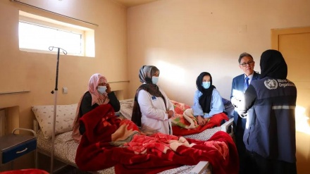 افزایش ۲۴ درصدی ابتلا به عفونت حاد تنفسی در افغانستان