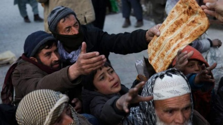  اوچا: در سال ۲۰۲۶ میلادی بیش از ۱۷ میلیون افغان با ناامنی حاد غذایی مواجه خواهند شد