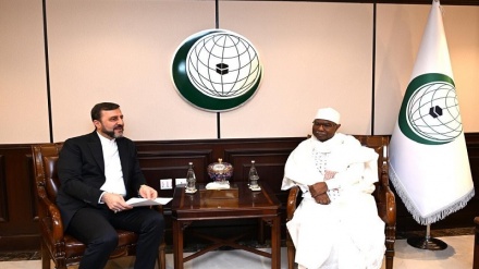 اسلامی تعاون تنظیم ایران کے حقوق اور مفادات کے تحفظ کے لیے پرعزم ہے