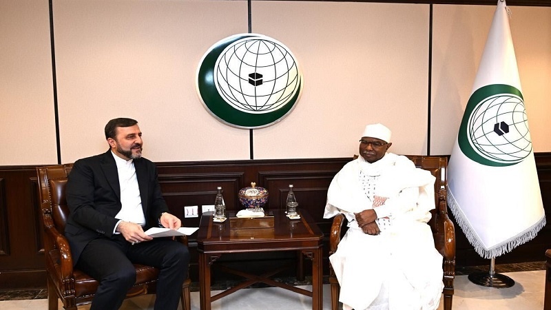 اسلامی تعاون تنظیم ایران کے حقوق اور مفادات کے تحفظ کے لیے پرعزم ہے