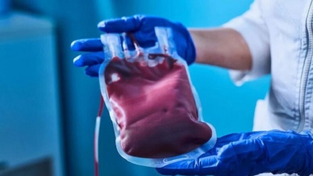 Xwîna pîr pêşketina Alzeymêrê dilezîne