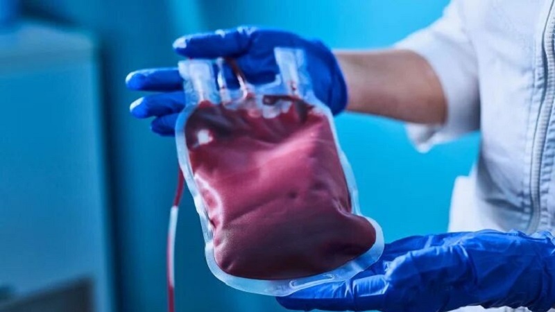 Xwîna pîr pêşketina Alzeymêrê dilezîne