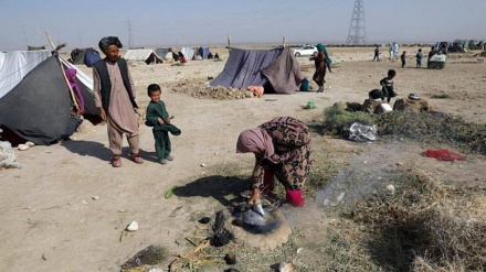 برنامه جهانی غذا: افغانستان با یکی از شدیدترین بحران‌های گرسنگی جهان مواجه است