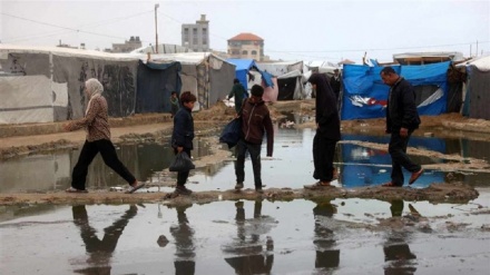 غزہ میں خیمہ بستیوں کے حالات تشویشناک، ترجمان سول ڈیفنس کی وارننگ