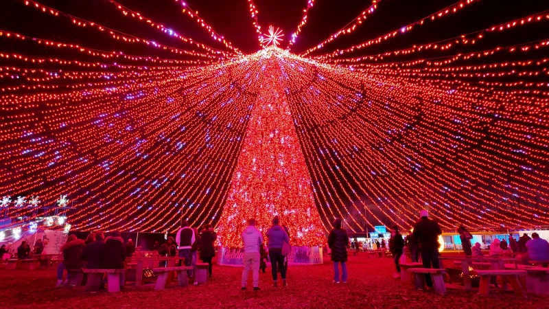 2025 کے اختتامی لمحوں کی جگمگاہٹ