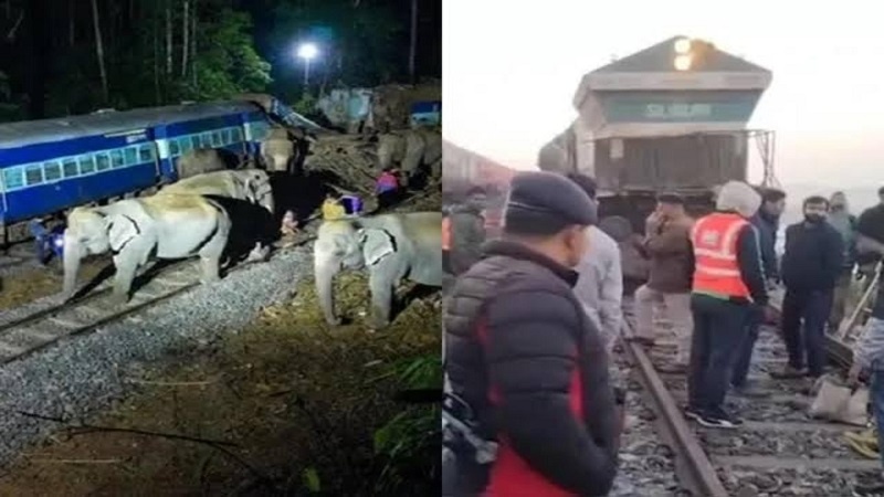 ہندوستان: آسام میں بھیانک ٹرین حادثہ، 8 ہاتھیوں کی درد ناک موت، کئی ڈبے پٹری سے اترے