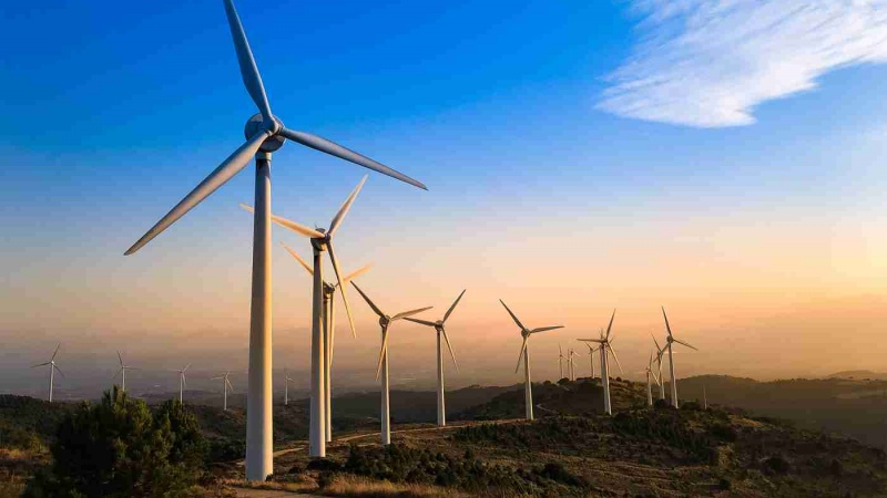 وزەی شەپۆلی با