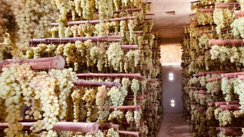 تاجران ایجاد کننده سردخانه از معافیت مالیاتی پنج‌ساله برخوردار می‌شوند