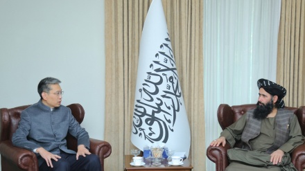 دیدار معین وزارت خارجه حکومت سرپرست افغانستان با سفیر چین در کابل