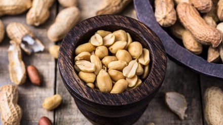 روزانہ مونگ پھلی کھانے کا بہترین فائدہ سامنے آگیا