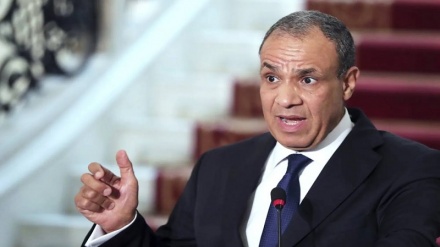 امریکہ اور صیہونی حکومت اب بھی غزہ سے فلسطینیوں کے انخلاء کی سازش پر کام کر رہے ہیں ، مصری وزیر خارجہ کا انکشاف