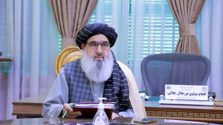 تلاش وزارت صحت برای تامین نیازهای دارویی و صحی کشور