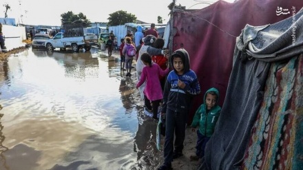 Hişyarîdayîna 200 rêxistinên navdewletî derbara qeyrana mirovî da li Xezzeyê