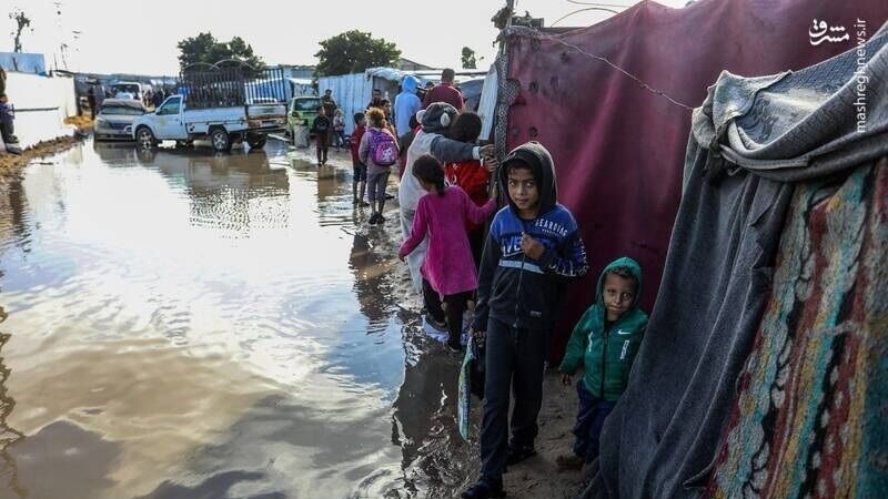 Hişyarîdayîna 200 rêxistinên navdewletî derbara qeyrana mirovî da li Xezzeyê