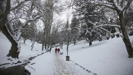 بەفر ناوچە کوردنشینەکانی تورکیای سپی پۆش کرد