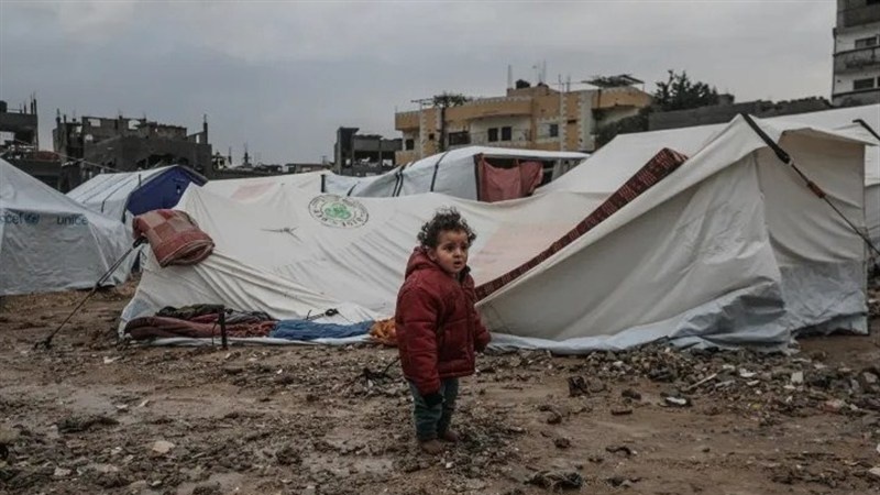 Nekêrhatîbûna konan li himber serma û baranê li Xezzeyê