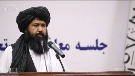 همکاری وزارت تحصیلات عالی با دانشگاه آزاد اسلامی ایران