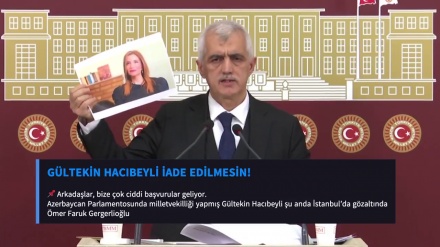 Gültəkin Hacıbəyli məsələsi TBMM-də qaldırıldı